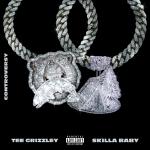 TEE GRIZZLEY